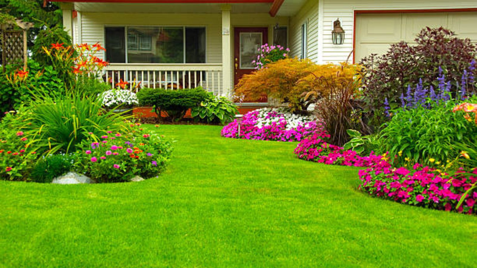 best plants for front of house