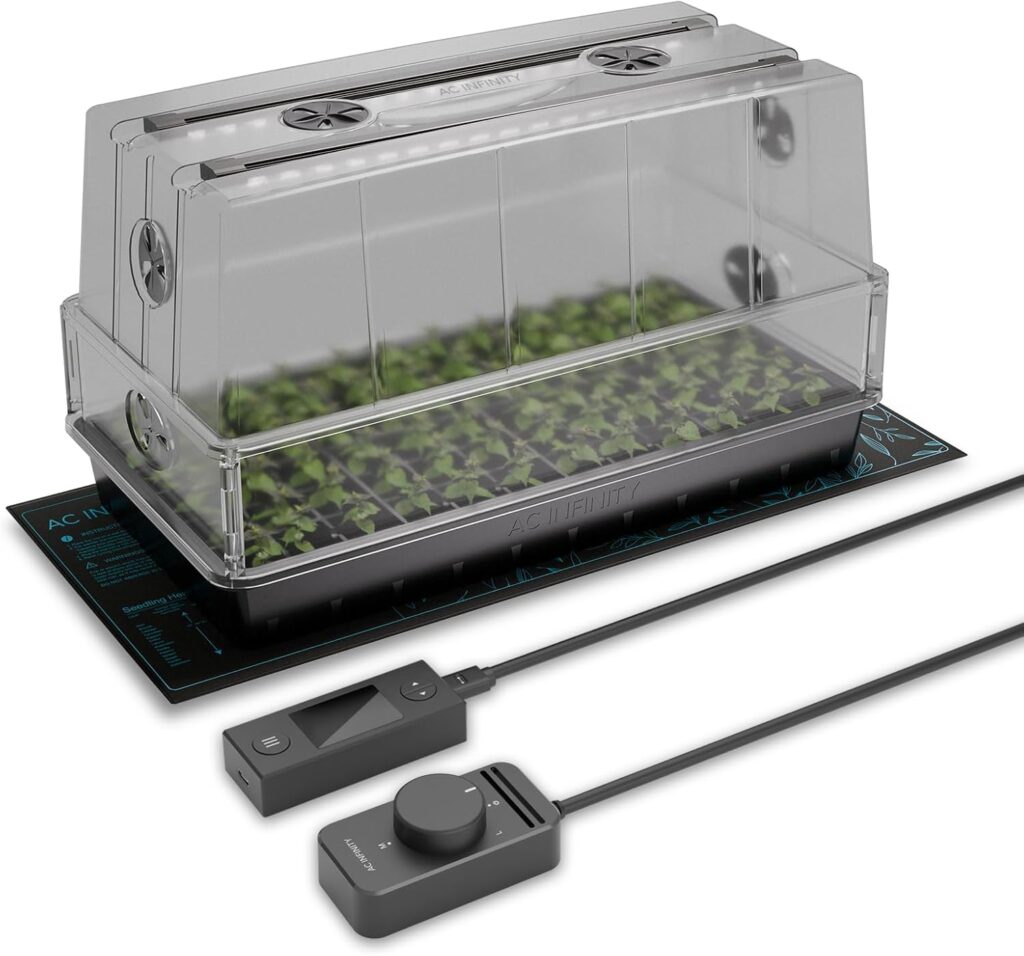 how long does marigold seeds take to germinate