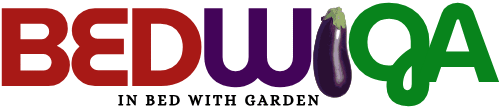 Bedwiga