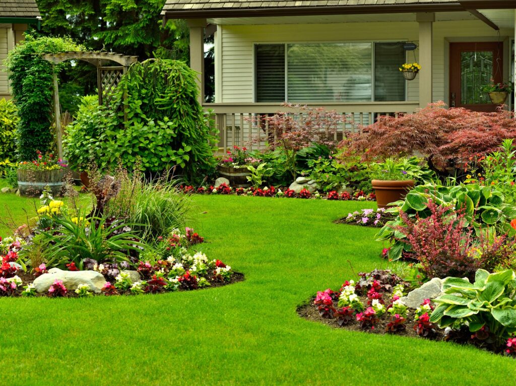 best shrubs for front of house enhance curb appeal