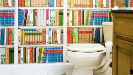 a Relaxing Reading Nook inside a bathroom
