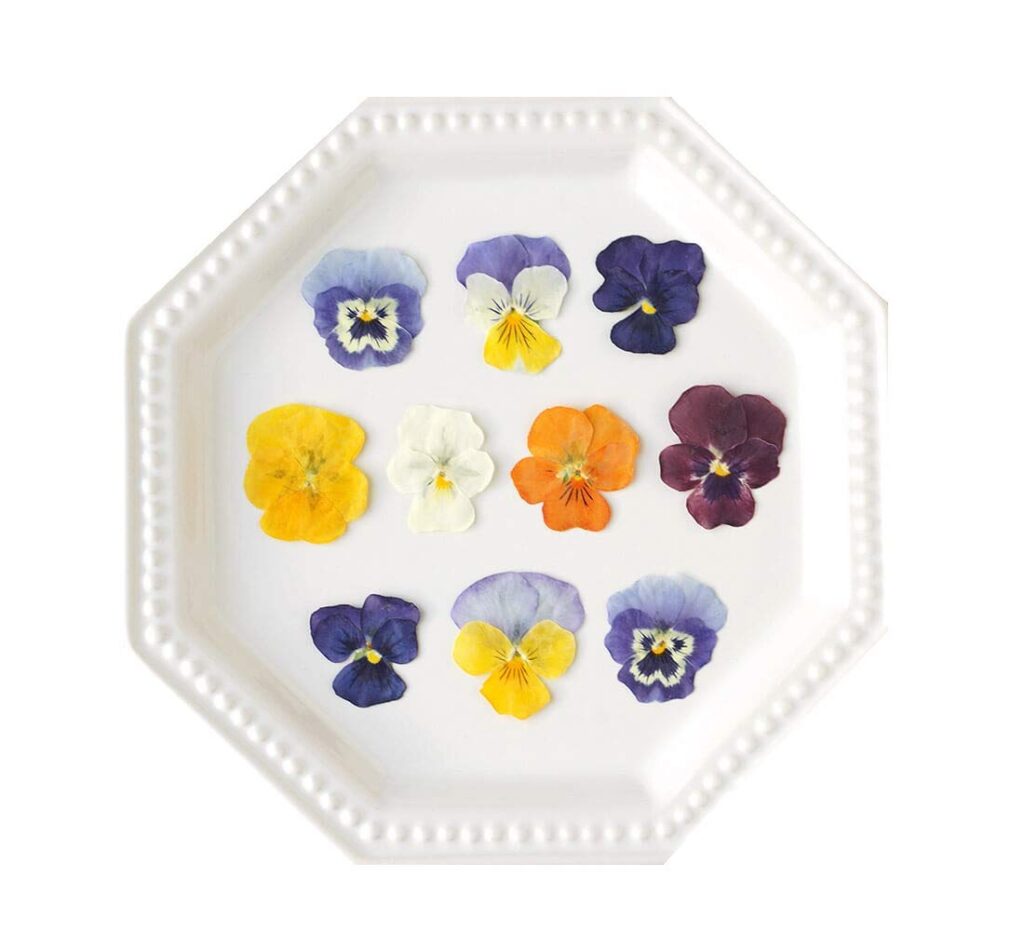Violas edible flowers 