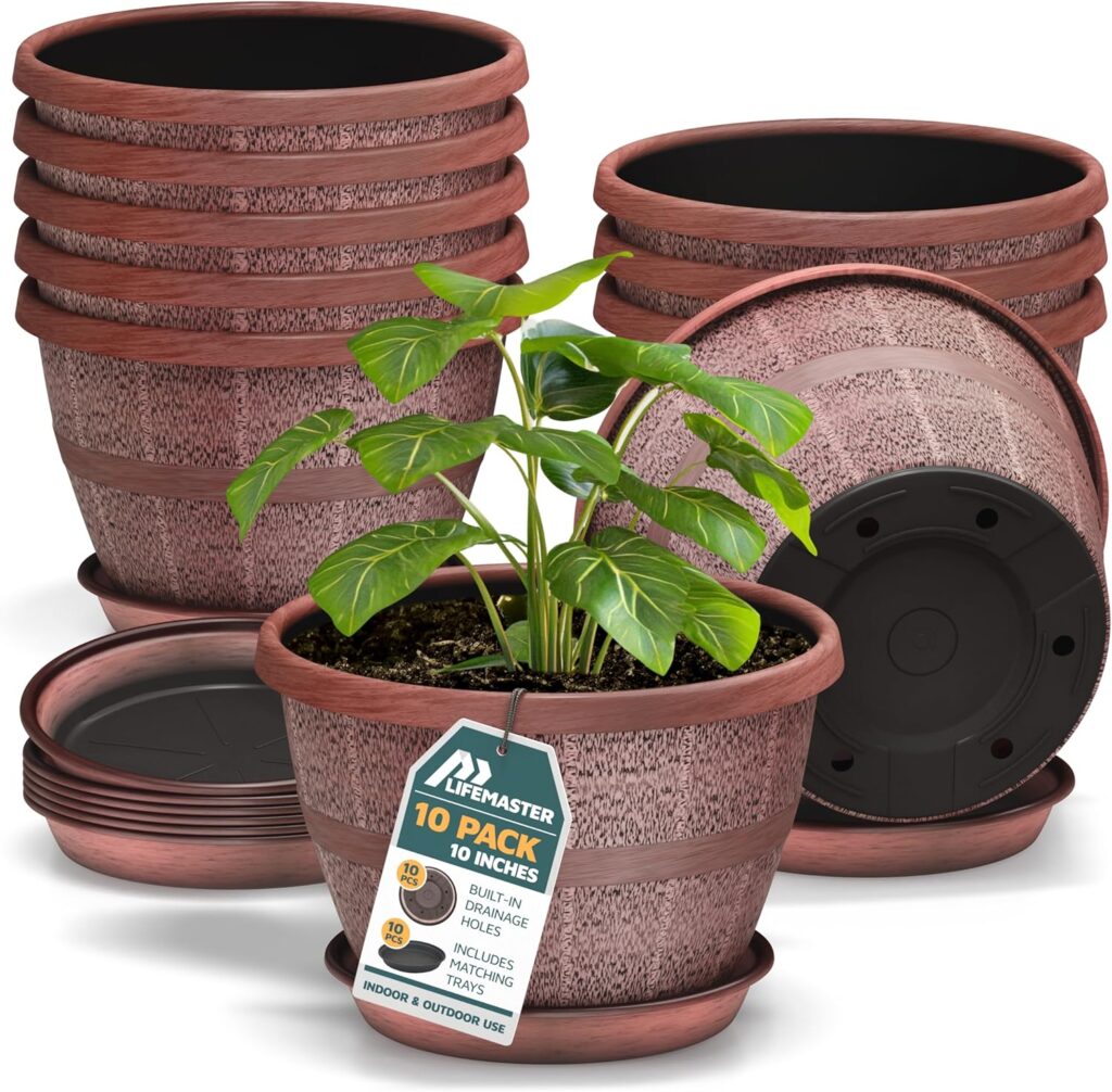 Nice planters with drainage saucer for use on how to grow green onions from onions