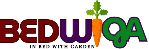 Bedwiga