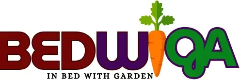 Bedwiga