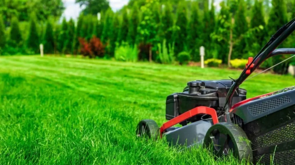 Do I need insurance for lawn care business