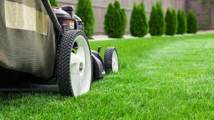 Do I need insurance for lawn care business