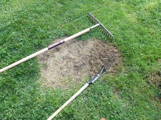 Yellow Spots on Lawn? Causes, Identification & Fixes 5 yellow spots on lawn