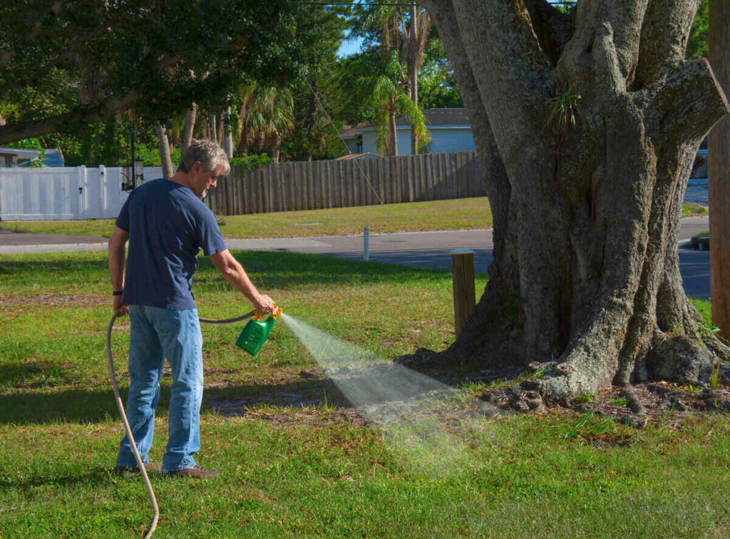 Yellow Spots on Lawn? Causes, Identification & Fixes 4 yellow spots on lawn